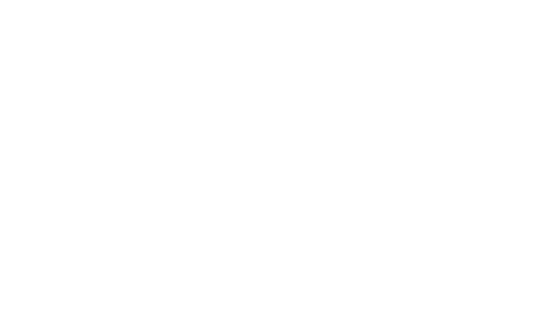 DM steel
